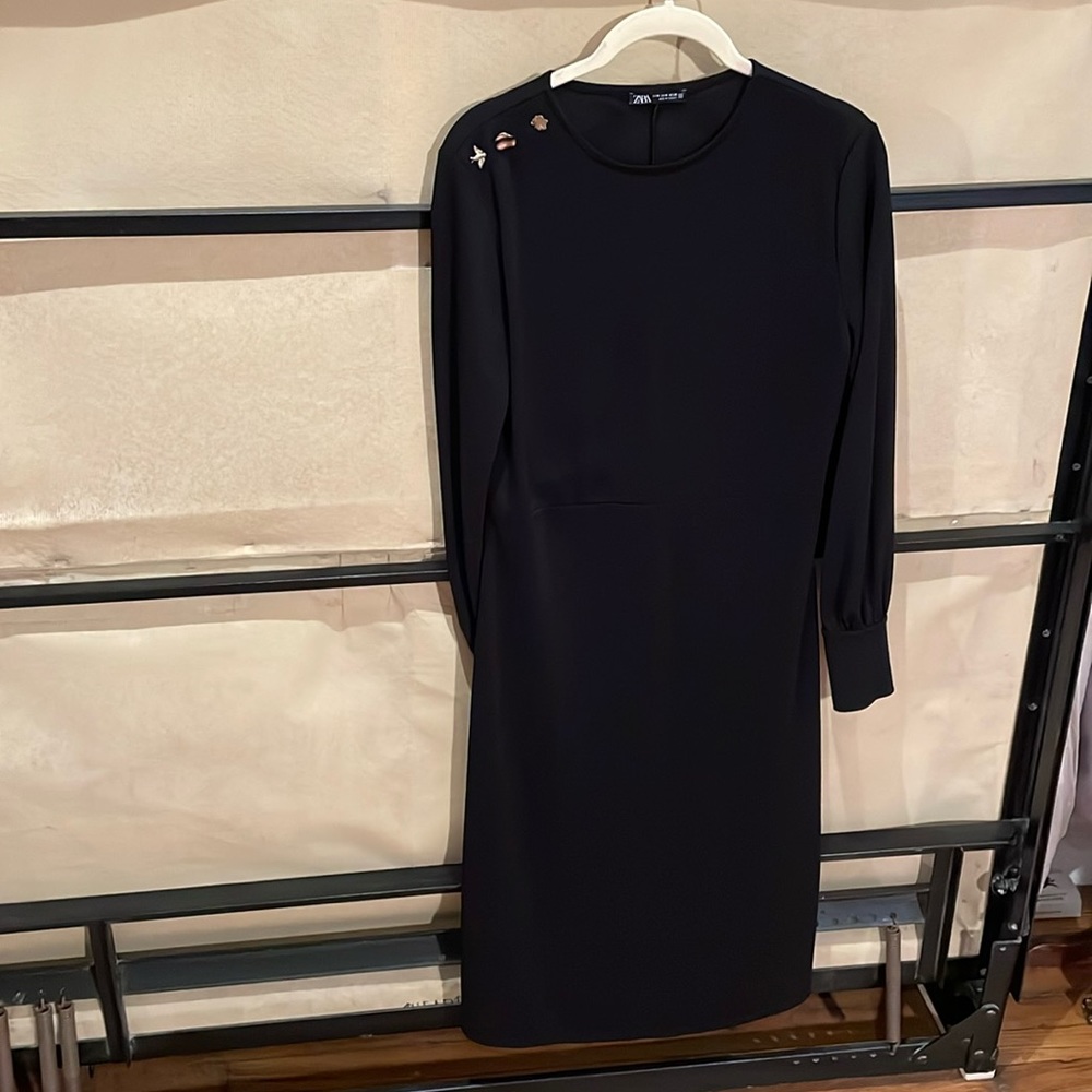 Zara dress